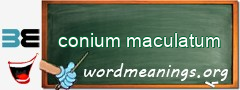 WordMeaning blackboard for conium maculatum